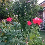 Apartman L'ortensia