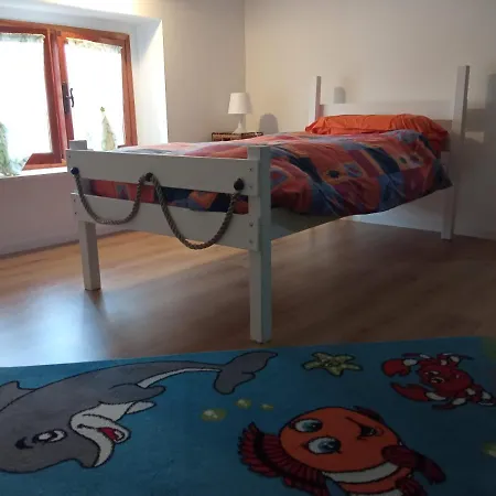 L'ortensia * Vignolo