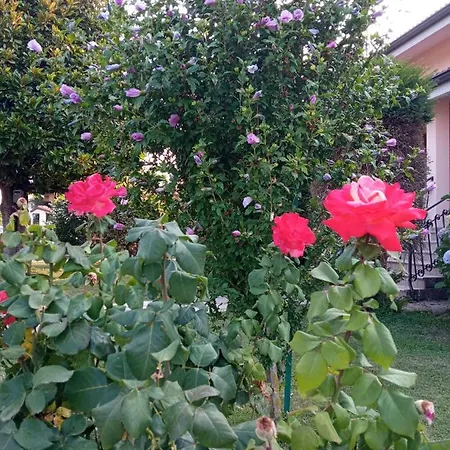 Appartement L'ortensia