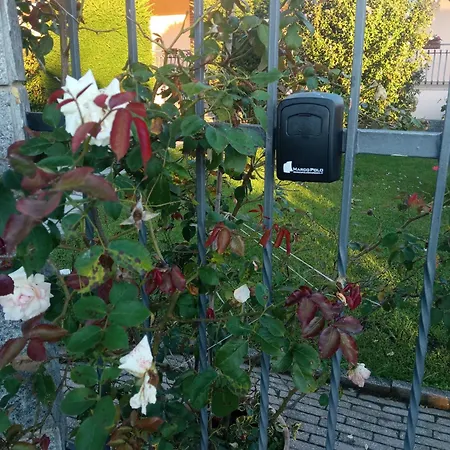 L'ortensia *