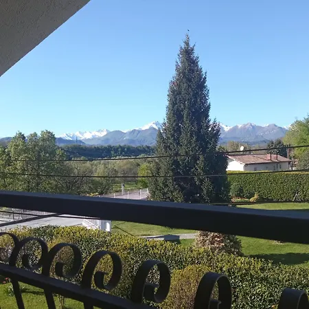 L'ortensia Vignolo