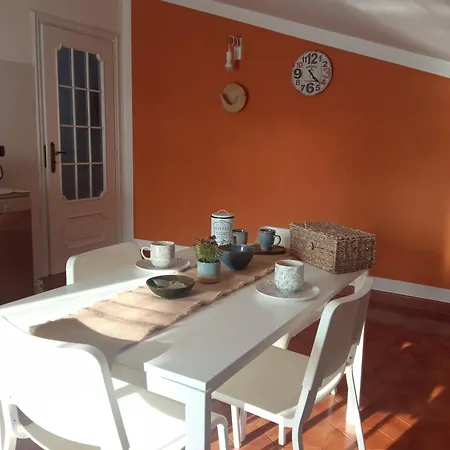 L'ortensia * Vignolo