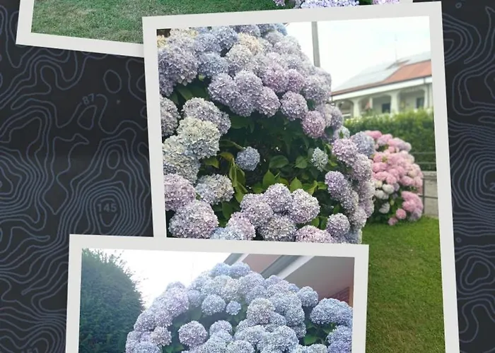 Apartamento L'ortensia