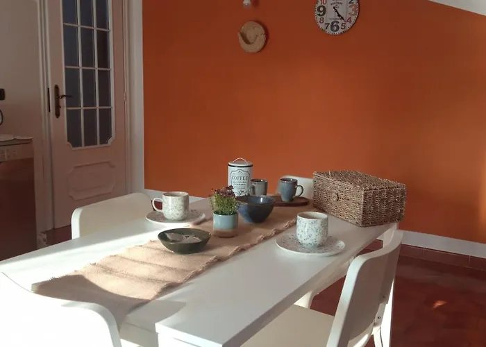 L'ortensia * Vignolo